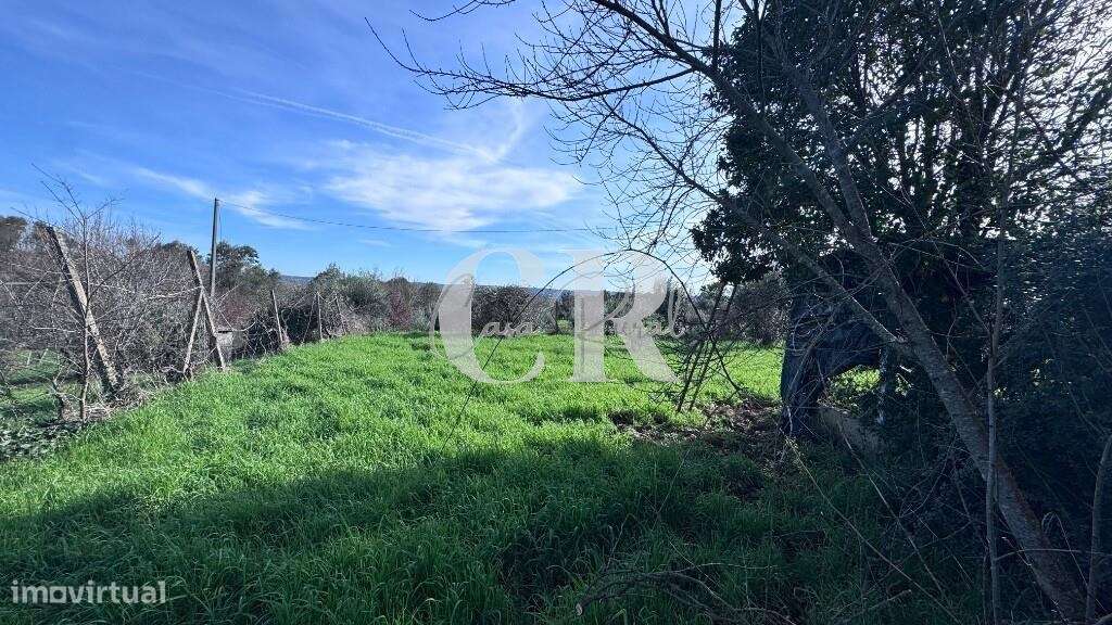 Quinta com casas de pedra para recuperar, poço e furo-17