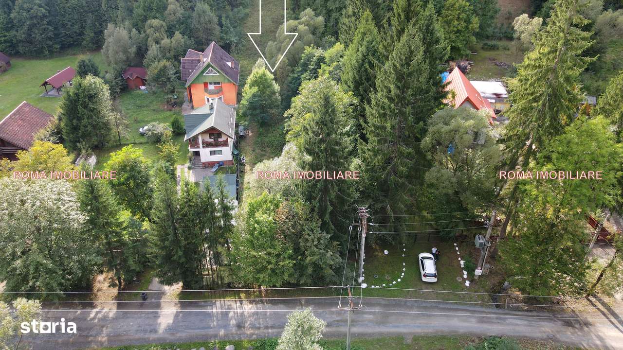 Blidari 77 ari teren de vanzare - Imagine principală: 2/9