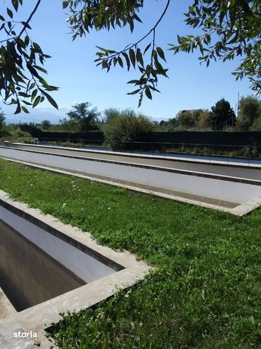 Ferma Piscicola- Teren 10.600 mp+ 3 lacuri+ 10 bazine betonate-2