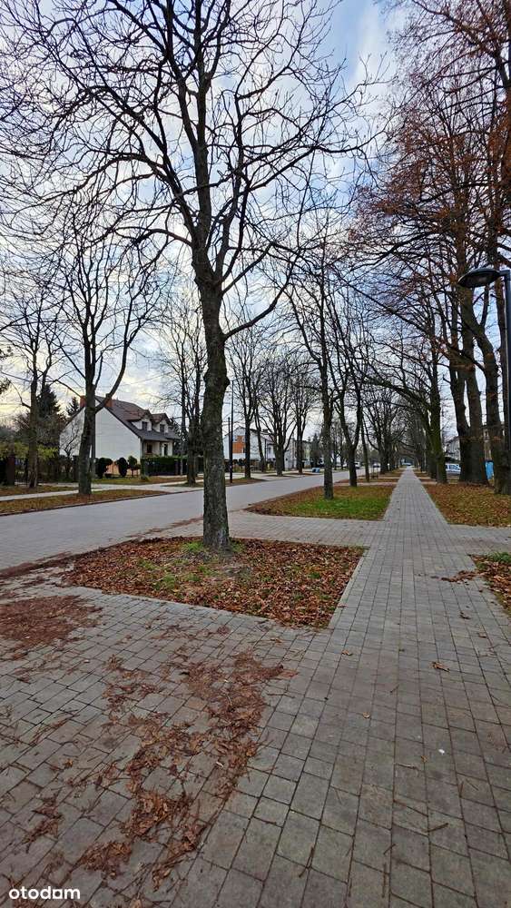 Wyjątkowa Działka 693m²! Bliźniak 139m² do Metamorfozy – Sikawa.-13