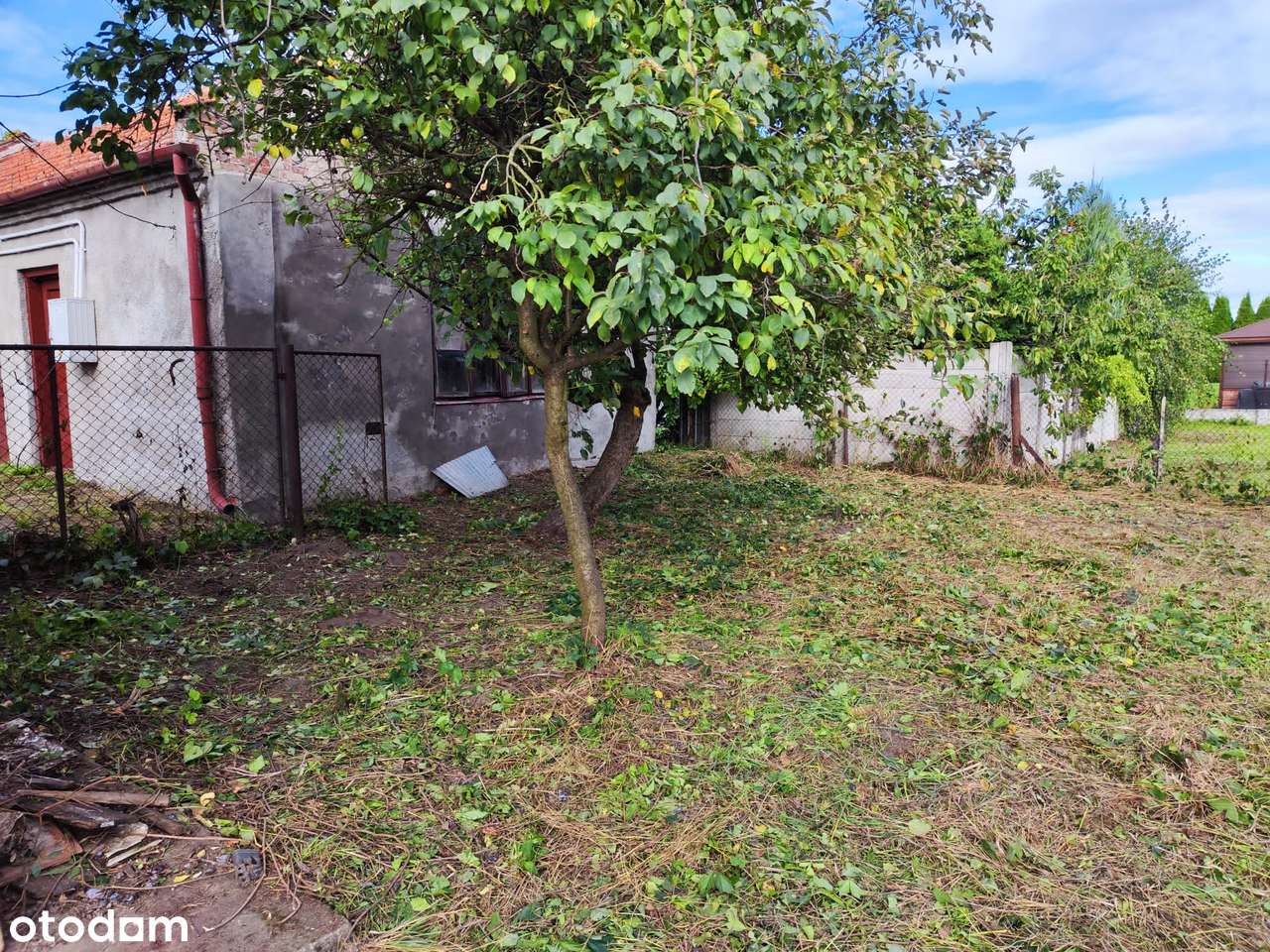 Wolonostojący dom w centrum miasta/ duży garaż pod warsztat/od zaraz-5