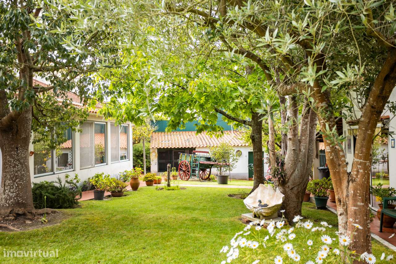 Moradia Independente em Cadaval - Pêro Moniz - Grande imagem: 4/43