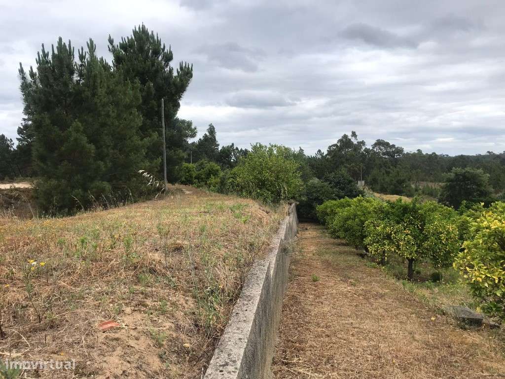 Quinta com casinha na Chancelaria, Torres Novas-22