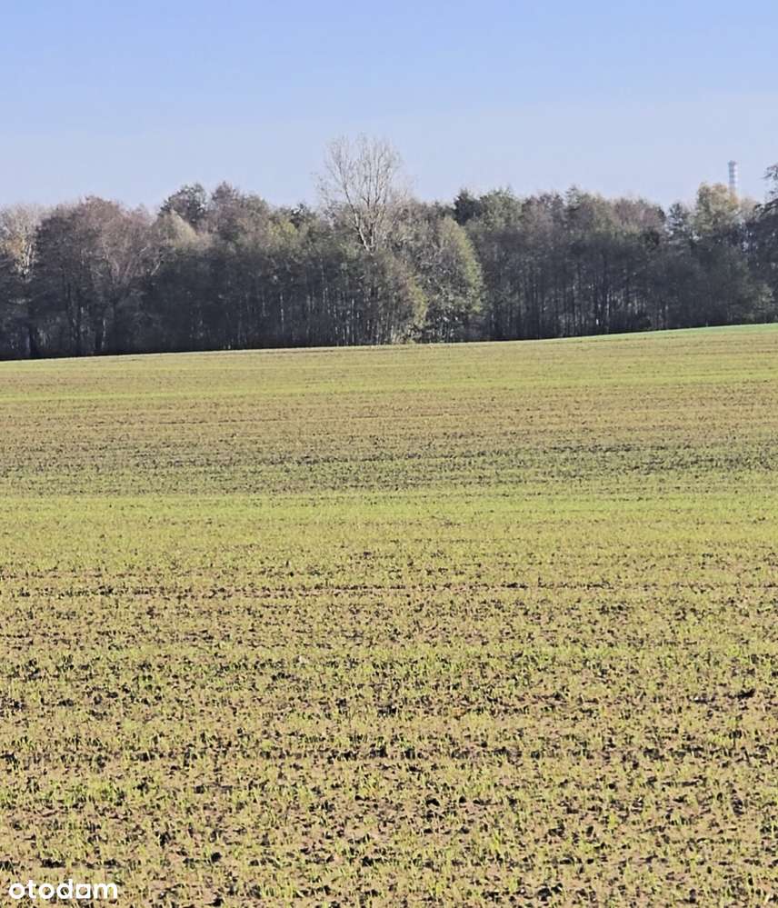 Działka z WZ - Pełny obrazek: 4/4