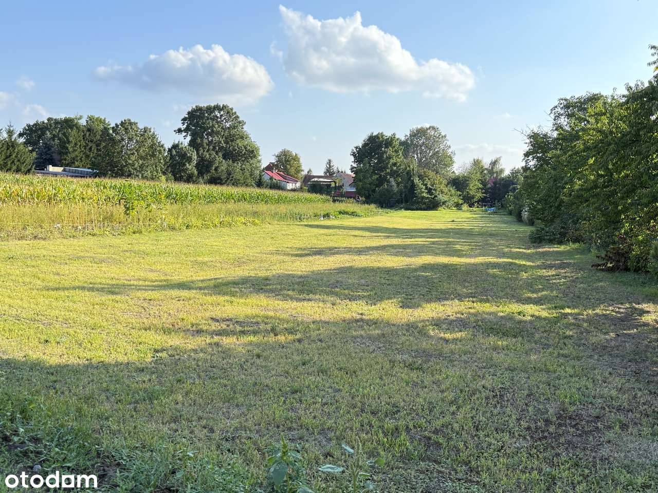 Działka budowlana w Wilczkowie – cisza + dobry dojazd do Wrocławia - Pełny obrazek: 4/13