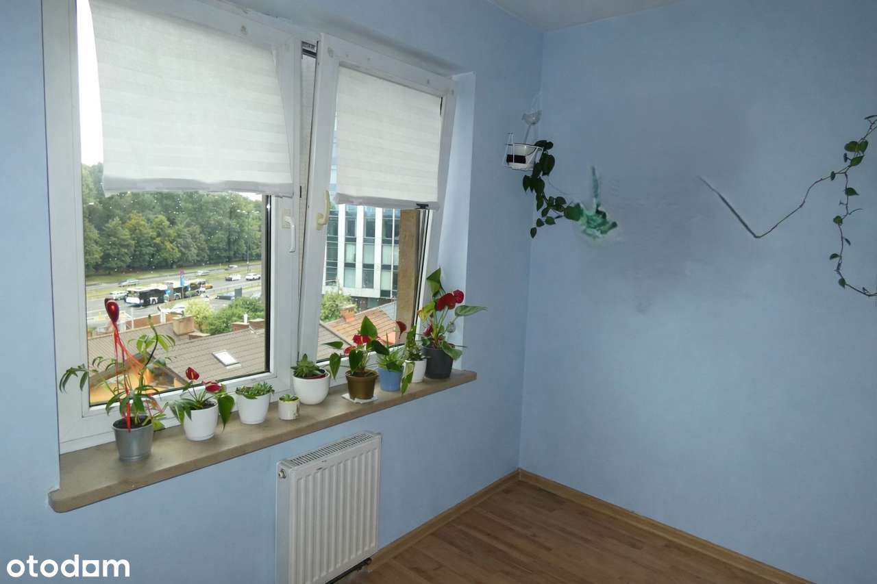 2 pokoje, 36m2 pilnie sprzeda właściciel-1