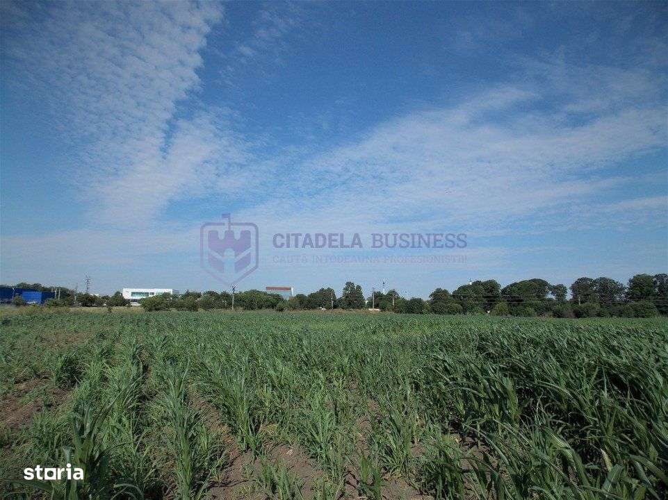 LAZU - Teren intravilan 1500 mp, cu deschidere la DN39!-7