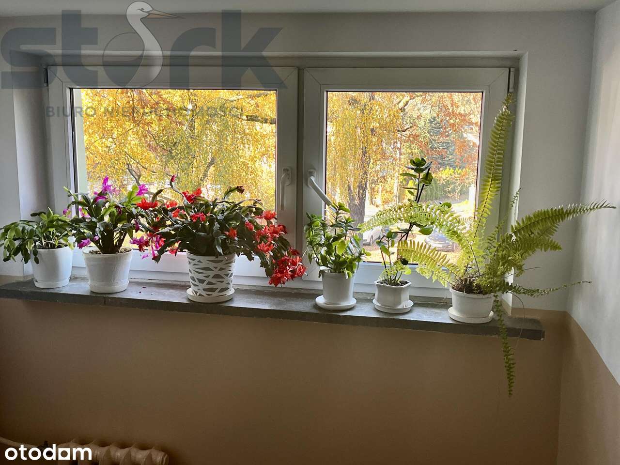 Milanówek 3-pokojowe mieszkanie z miejscem postoj.-9