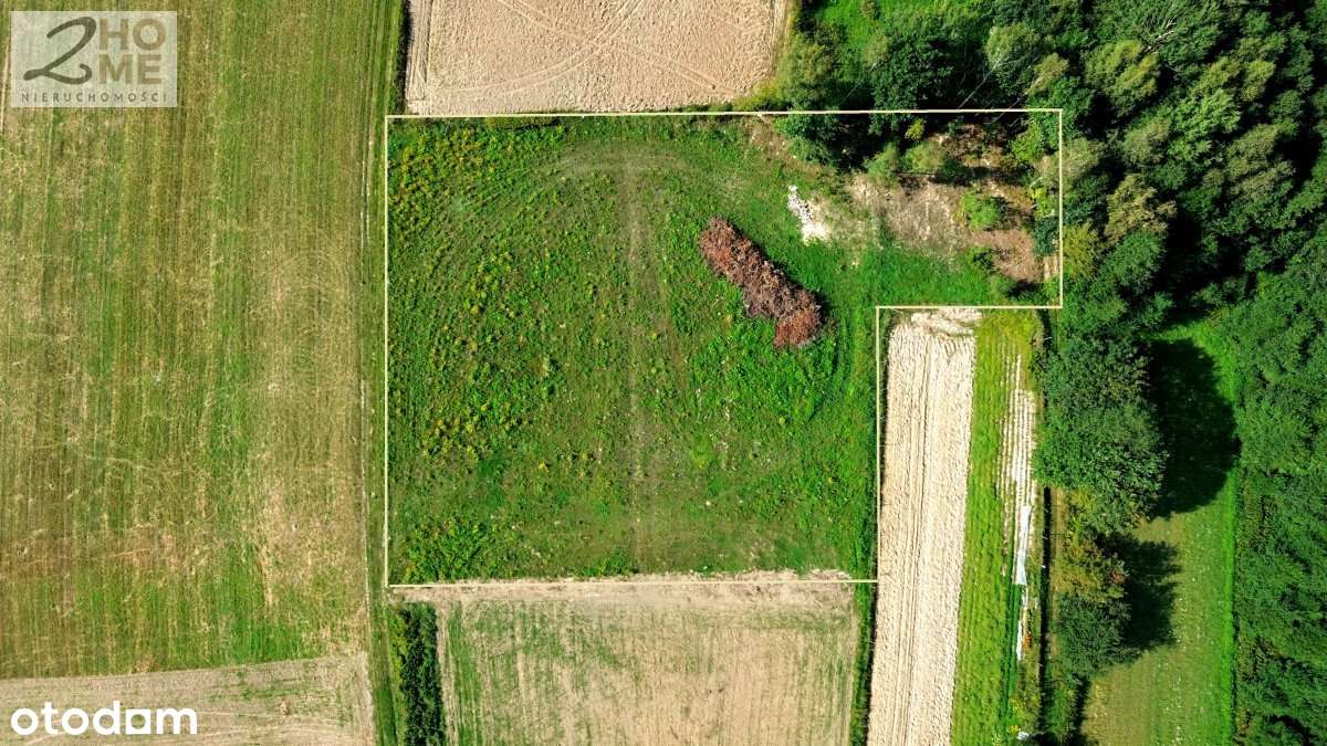 Twój kawałek spokoju - 38 arów w Gębiczynie-15