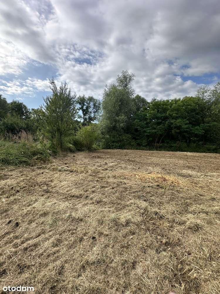 Janowice blisko Wieliczki działka uzbrojona w media - Pełny obrazek: 5/11