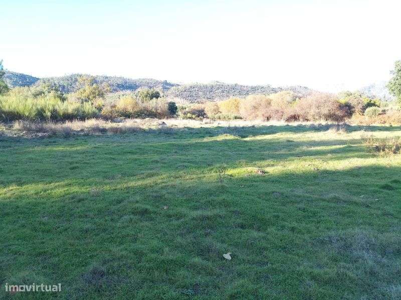 Terreno de 1,3 Ha com Ribeiro e Viabilidade de Construção - Grande imagem: 3/11