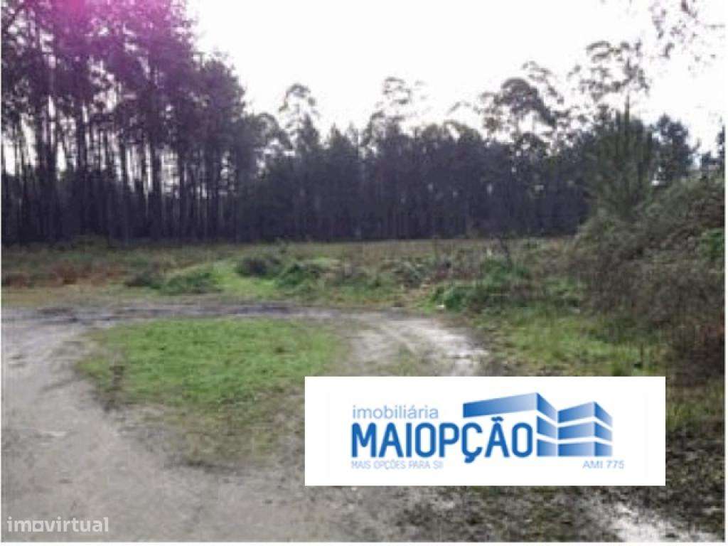 Terreno rústico - Grande imagem: 2/8