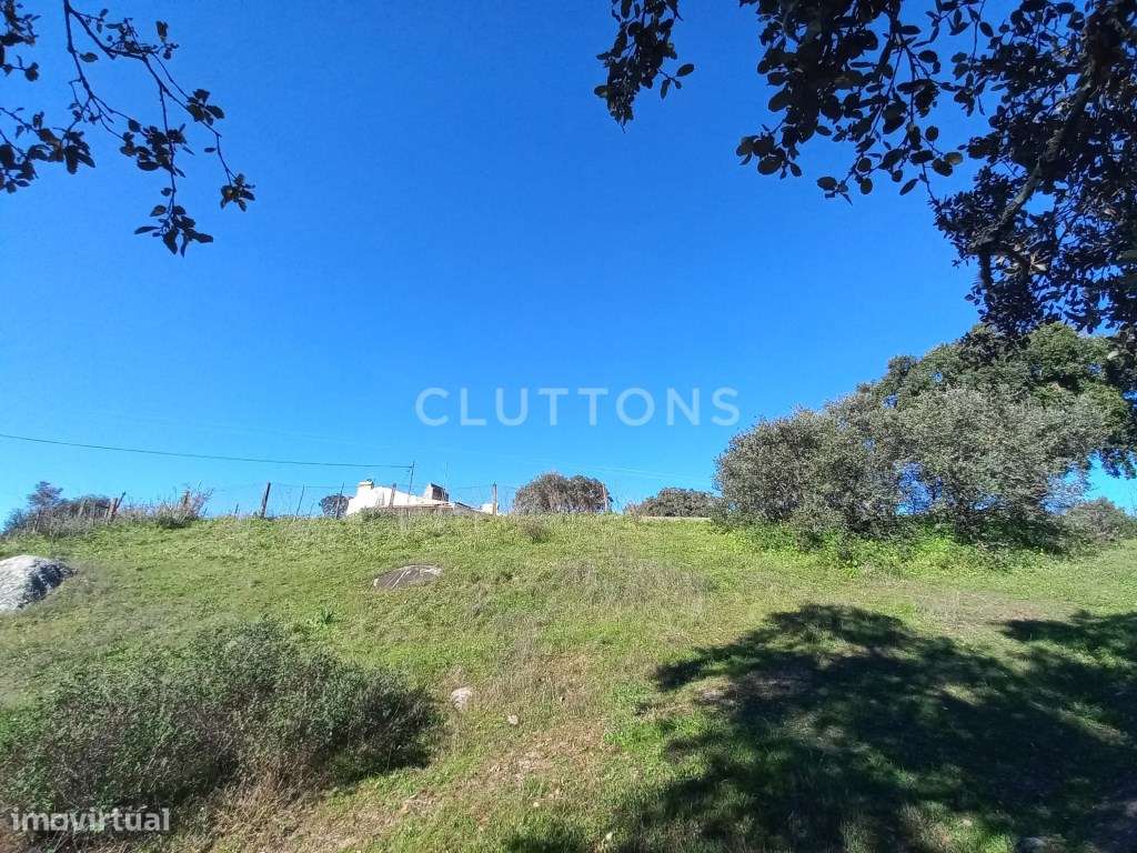 Terreno - Quinta, Investimento, 12 hectares e 844 m2 edificados, Évora-13