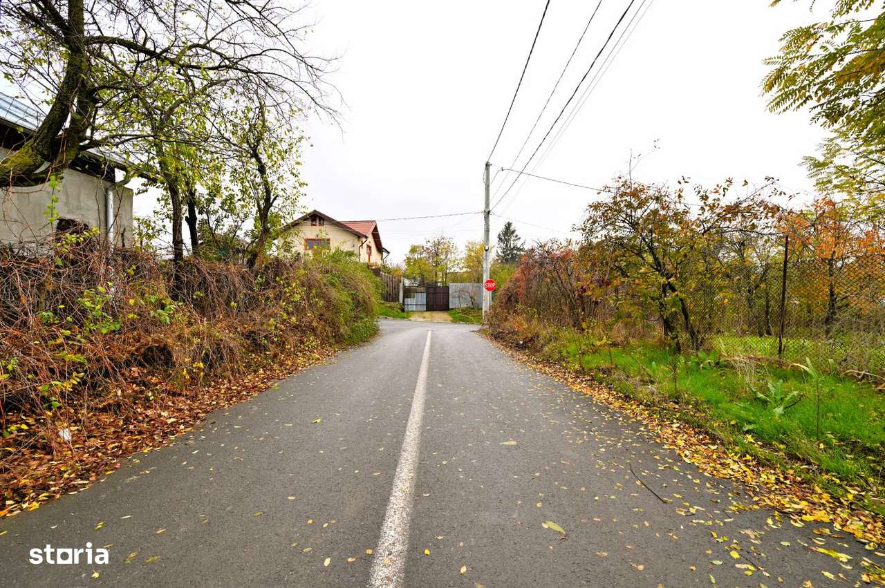 Vanzare teren de COLT 682mp Balta Lilieci Sat Lilieci Sinesti Ialomita-9