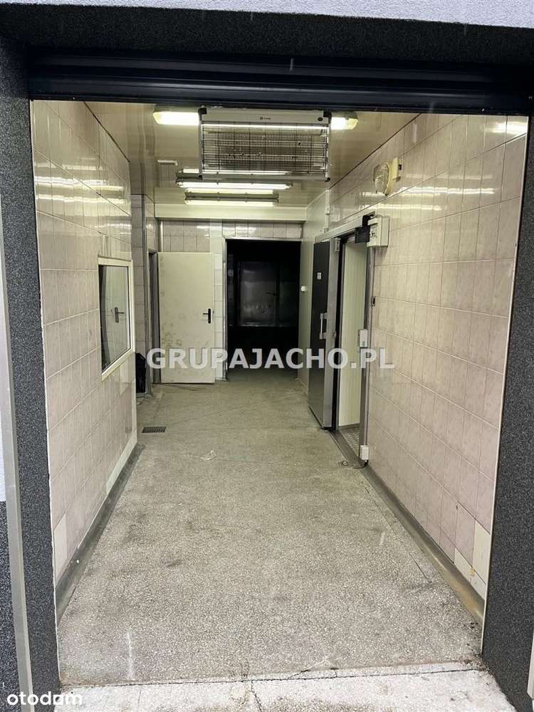 Oferta wynajmu zakładu produkcyjno-magazynowego - Pełny obrazek: 5/20