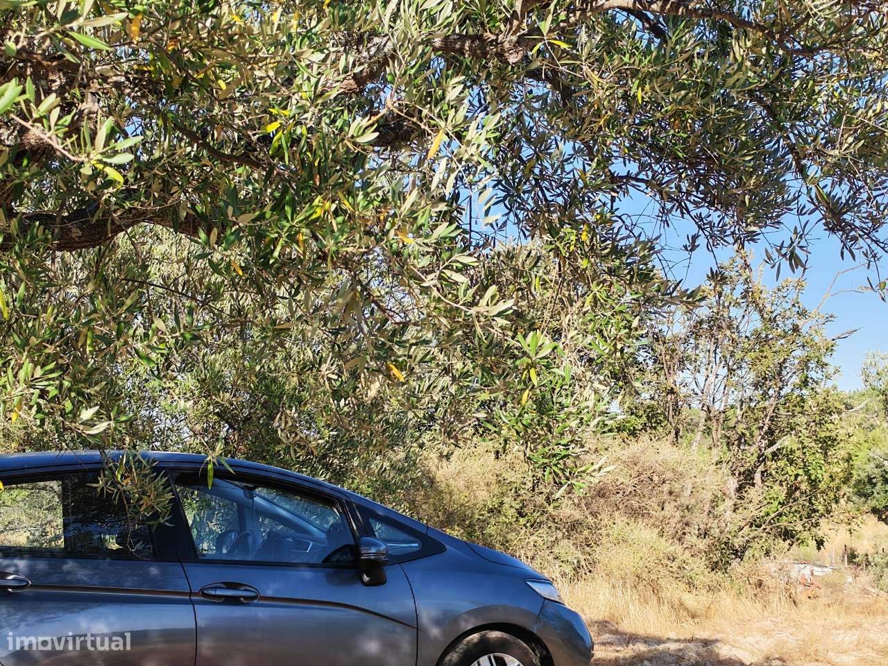 Terreno com casa - Grande imagem: 4/13