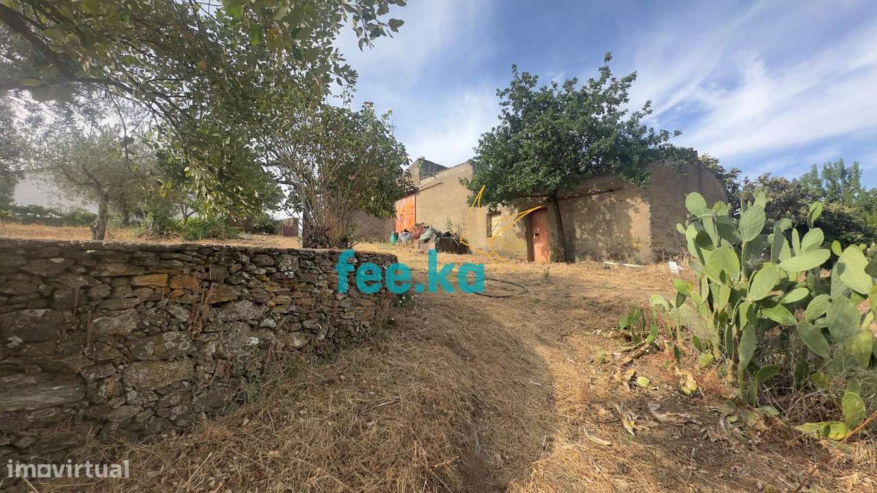 Quintinha-28