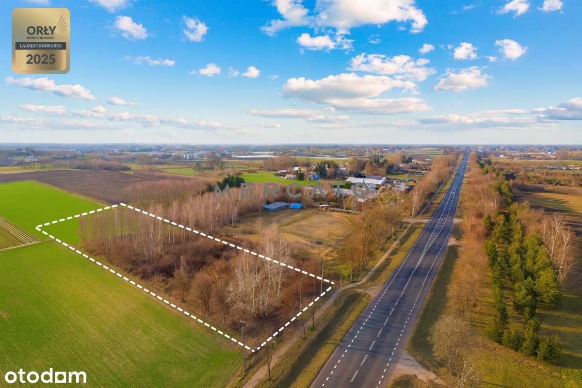 Działka 10 000 m² z potencjałem – na sprzedaż - Pełny obrazek: 3/7