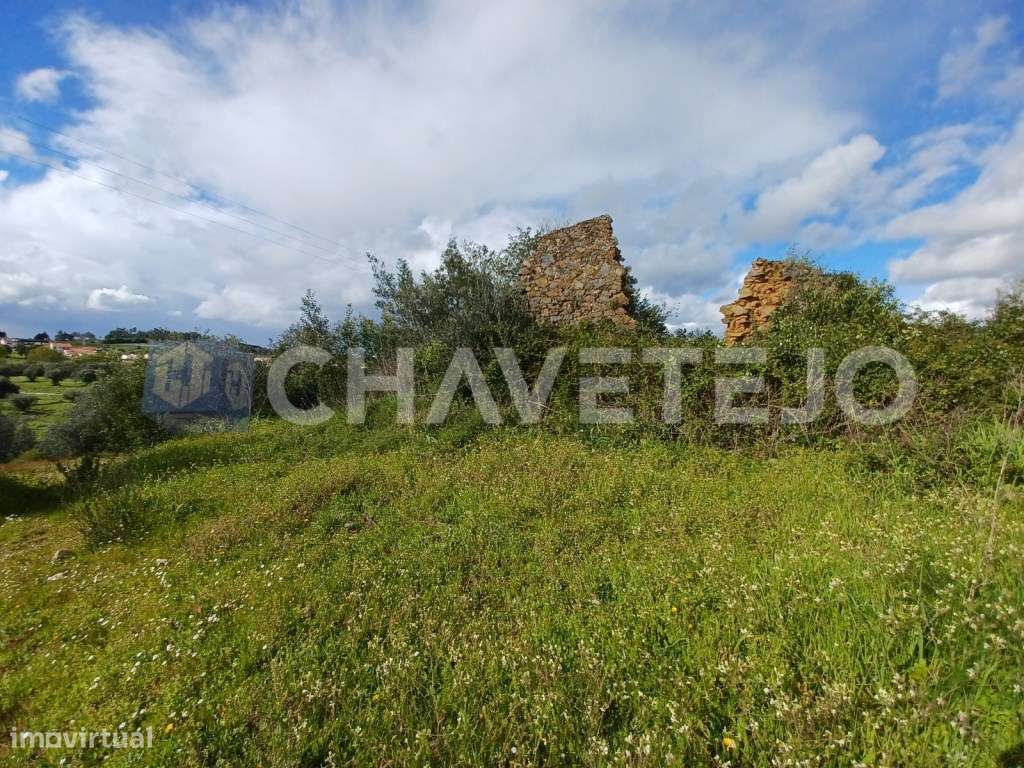 Terrenos com ruínas perto de São Pedro de Tomar. - Grande imagem: 3/15