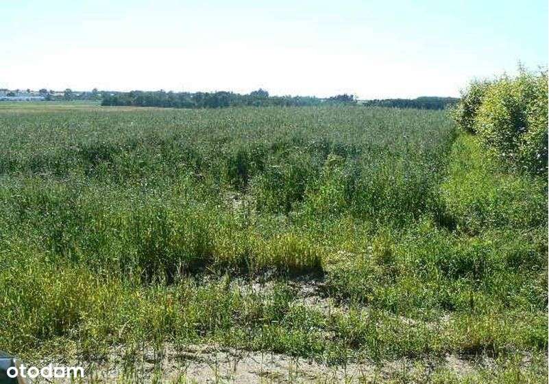 Słupsk - Runowo Sł. . Rolna 3050 m2. Morze .Okazja-8