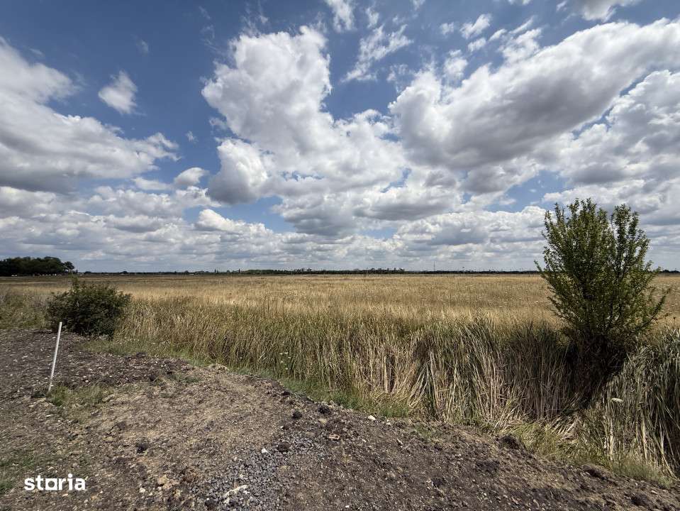 Teren Intravilan 976 mp, regim S+P+2E, utilat - Torontalului - Imagine principală: 2/2