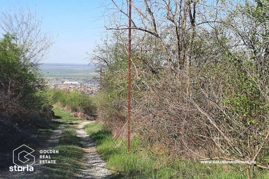 Teren intravilan Valea Domneasca,  localitatea Ghioroc - Imagine principală: 4/4