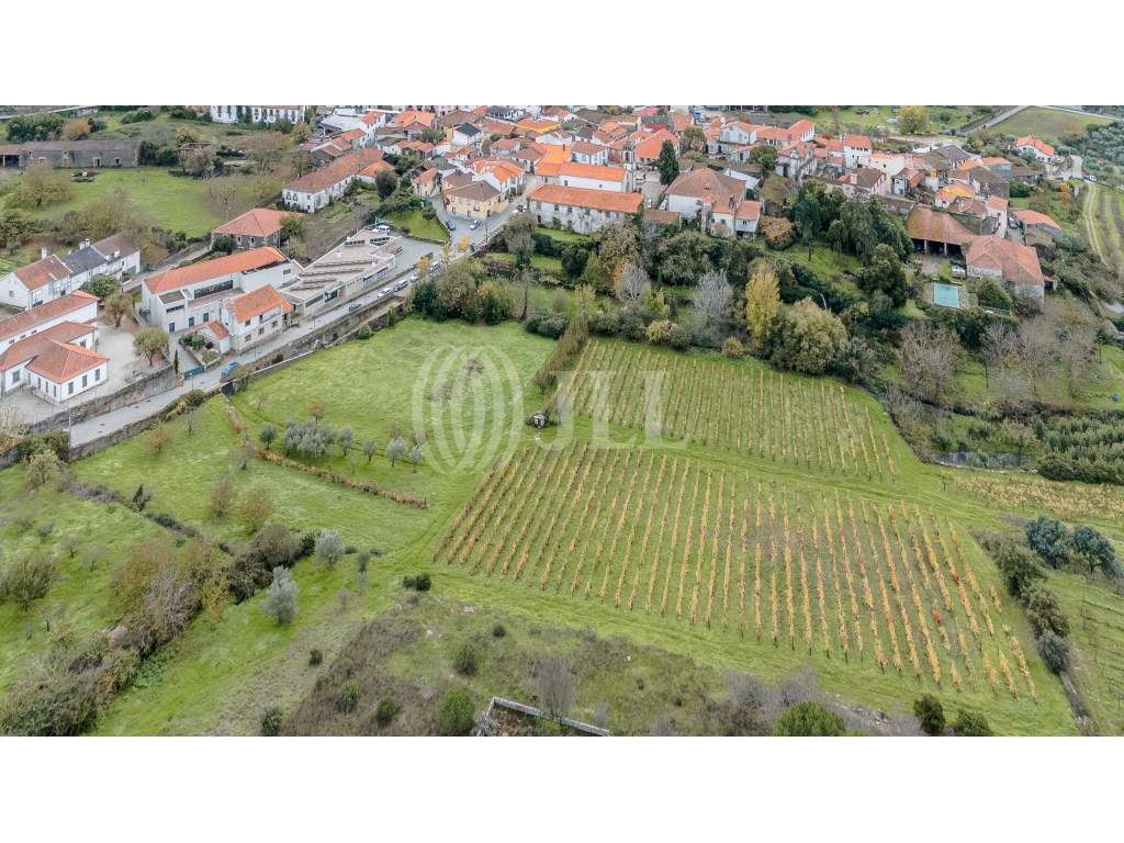 Quinta com produção de vinho, São da Pesqueira, Viseu - Grande imagem: 3/20