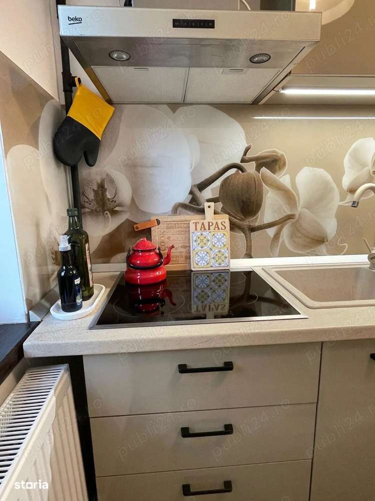 Apartament 2 camere etajul 1/4  zona City Park Mall - Ocazie-5