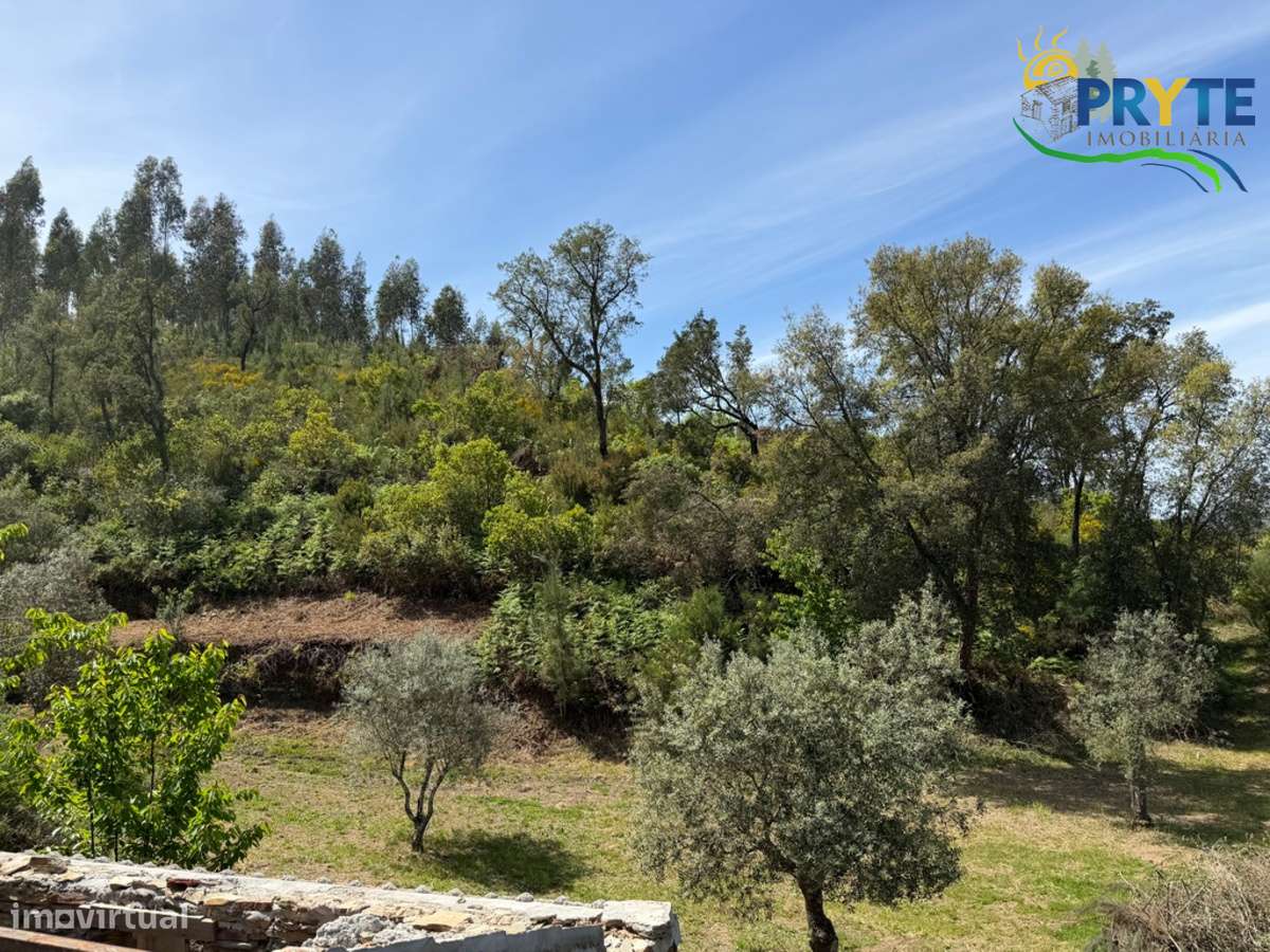 Terreno com uma ruína não registada a 6 quilómetros da Sertã-10