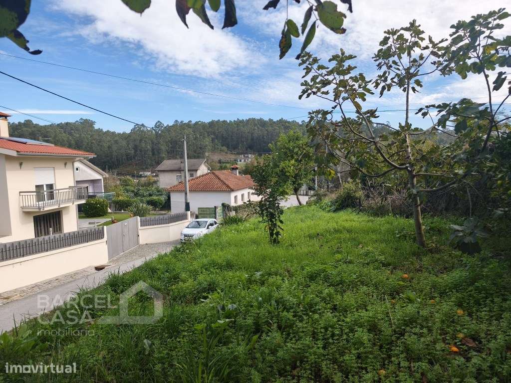 Oportunidade Única - Moradia para Restauro com Vistas Panorâmicas!-27