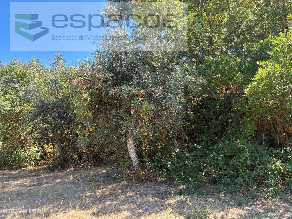 Terreno Plano com Poço - Grande imagem: 5/9