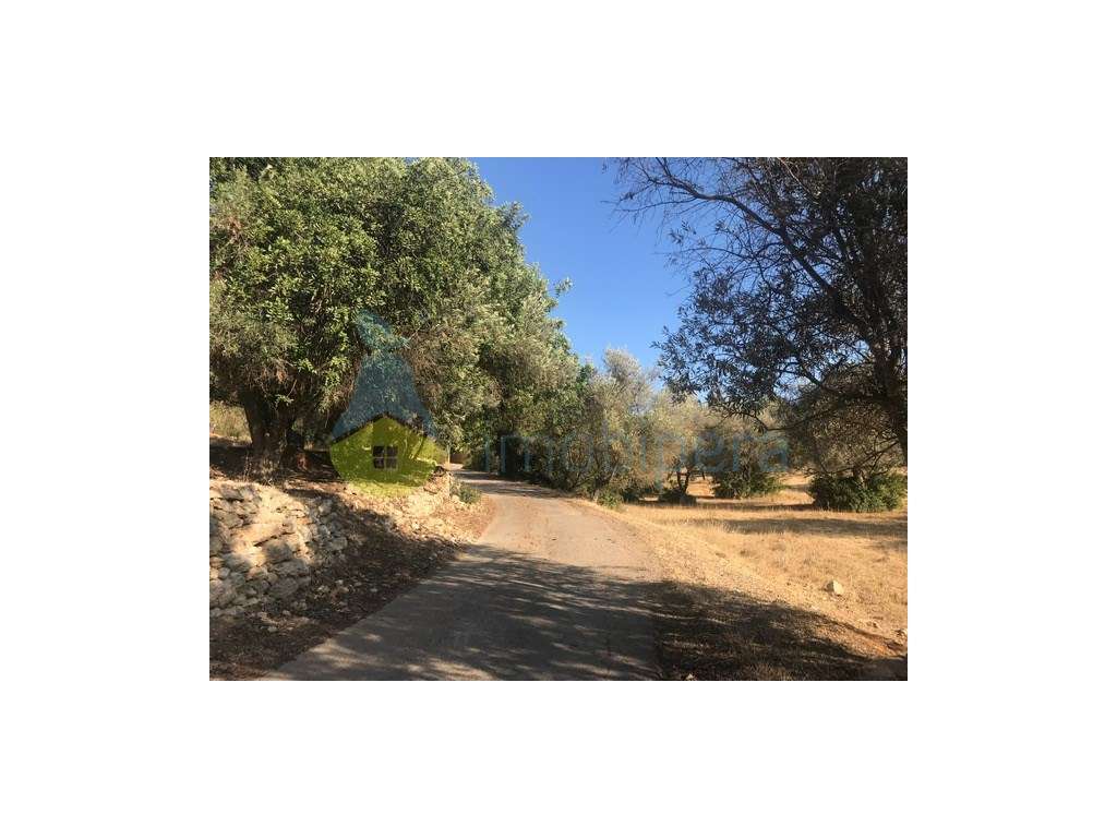 EXCELENTE TERRENO RÚSTICO COM DUAS PARCELAS - Grande imagem: 4/15