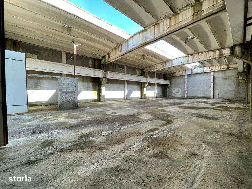 Hala industriala, 600 mp, inaltime 8m, langa DJ 248, trifazic 27KW - Imagine principală: 2/2