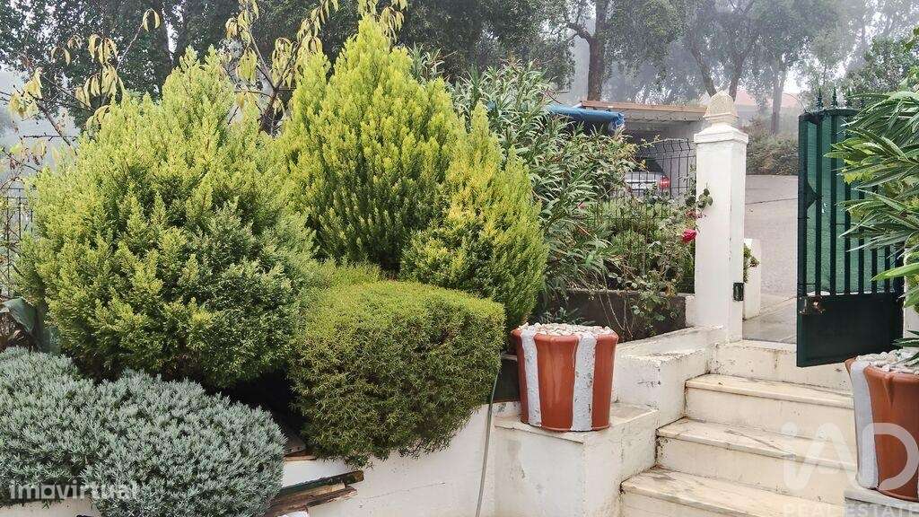 Terreno Agrícola em Pedrógão Pequeno - Grande imagem: 4/32