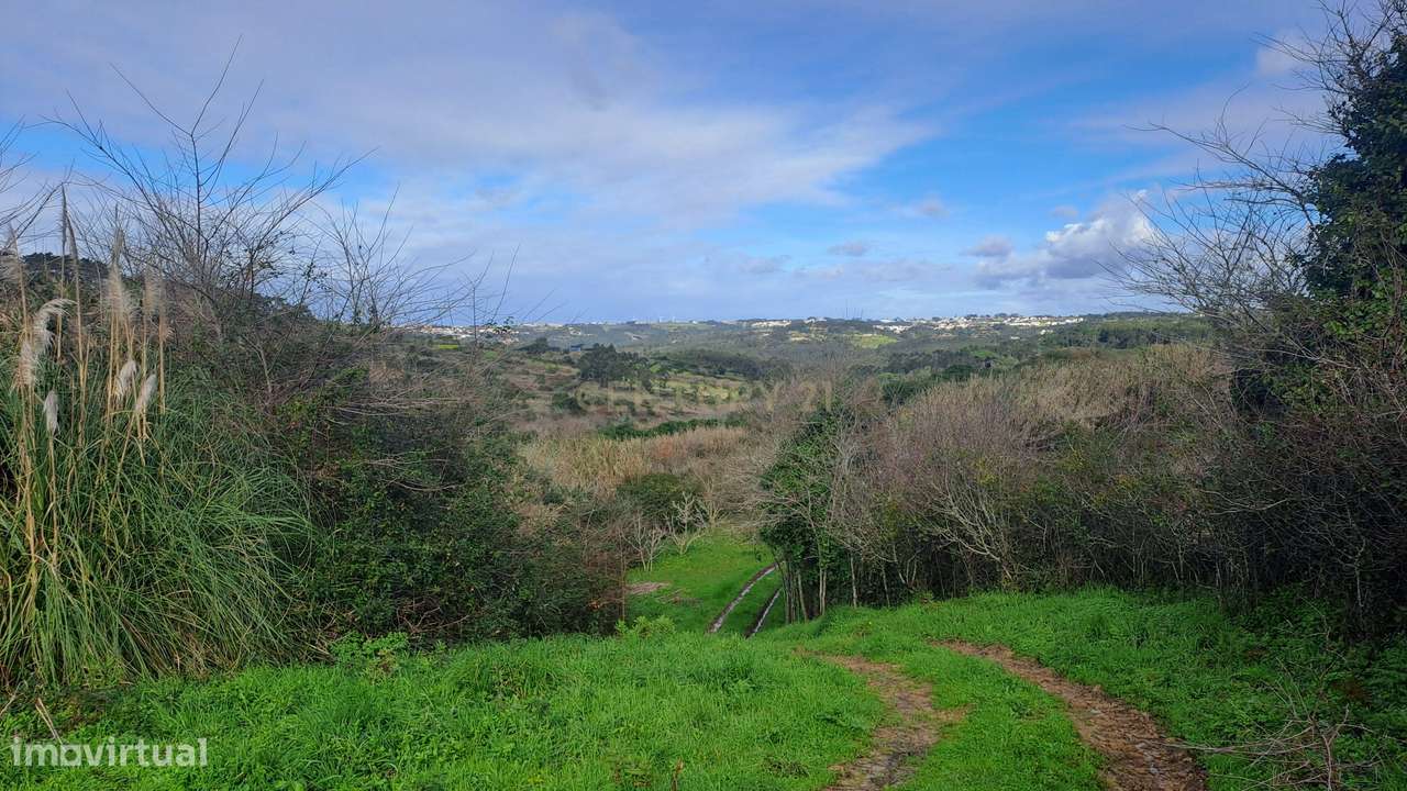 Terreno Agrícola - São João das Lampas - Grande imagem: 4/7
