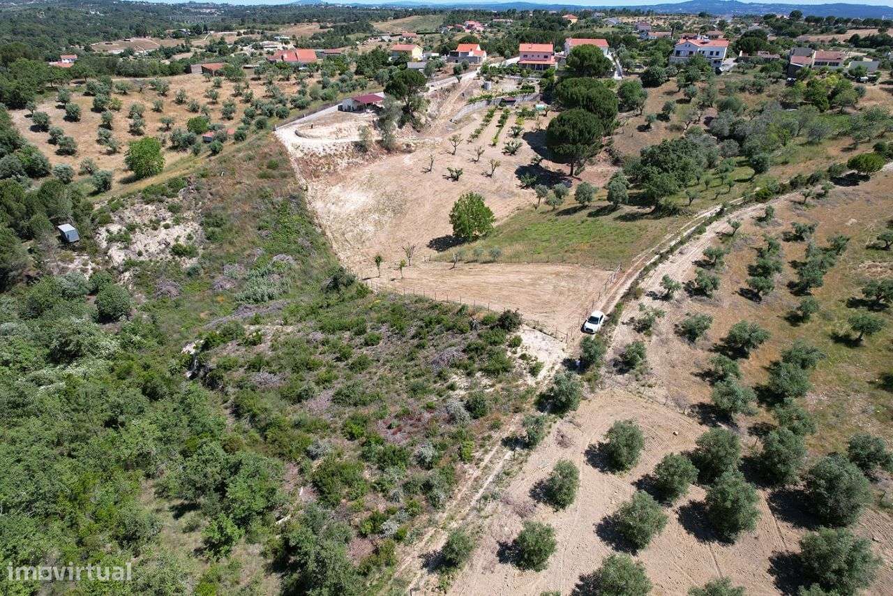 Terreno Rústico em Tomar - Grande imagem: 2/17