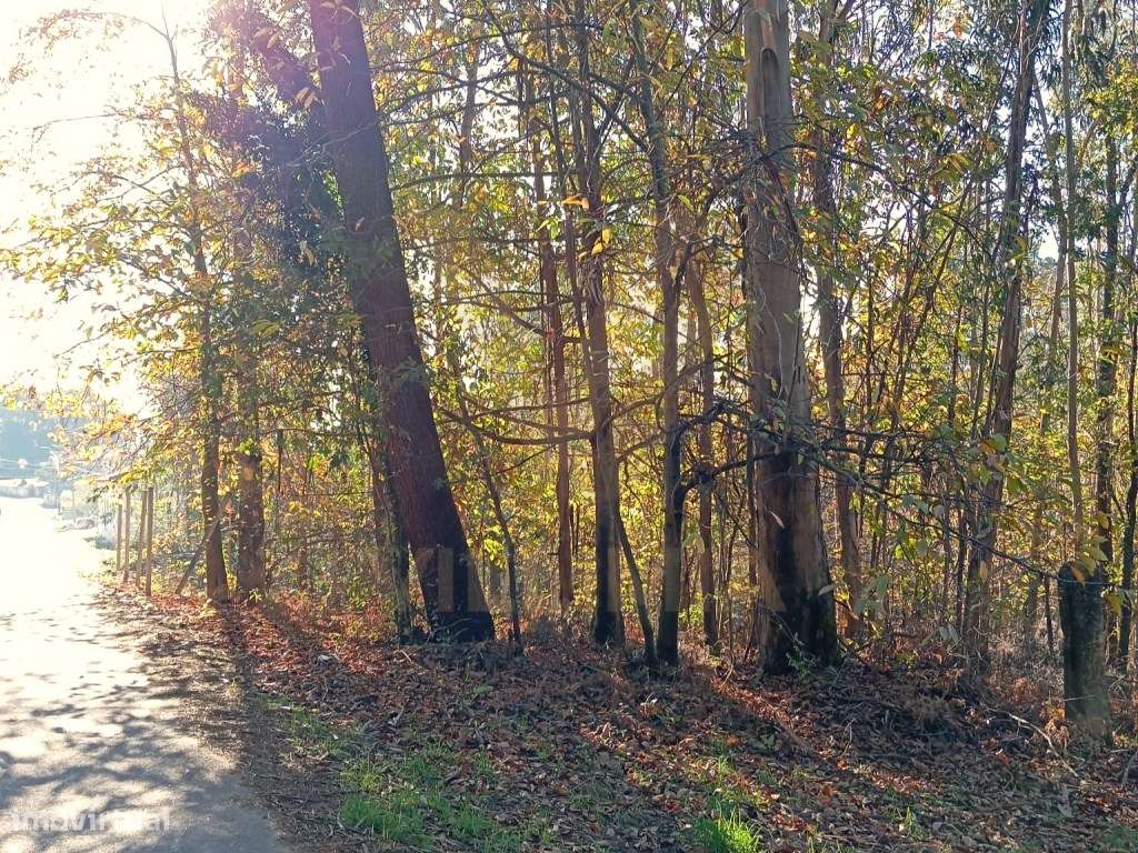 Terreno 2.290m² Urbanizavél - Fornelos - Ponte de Lima - Grande imagem: 3/7