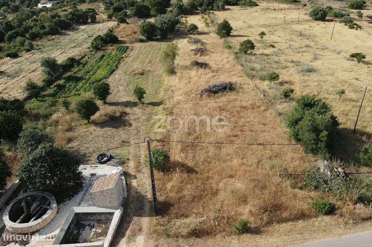 Terreno Rústico com 2.320m2 e poço de água, em Portela de Messines-9