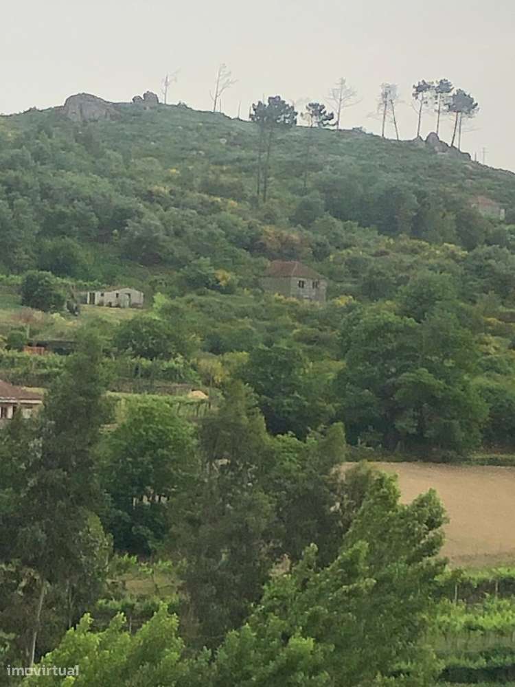 Moradia Devoluta T4+2 Venda em Baião (Santa Leocádia) e Mesquinhata,Ba - Grande imagem: 2/11