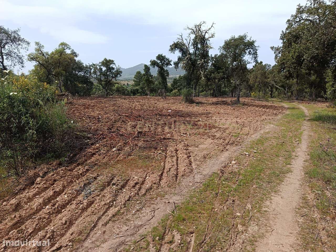 Terreno Rústico com 1.6ha Monfortinho-5