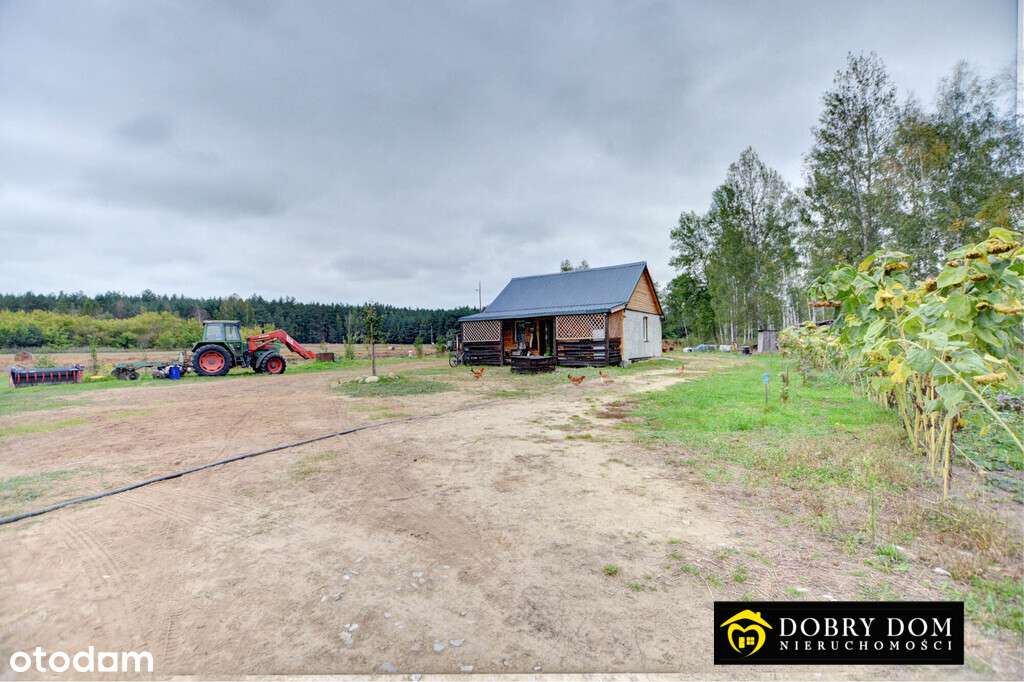 Dom 63 m² + działka 1,5 ha + staw - Pełny obrazek: 4/9