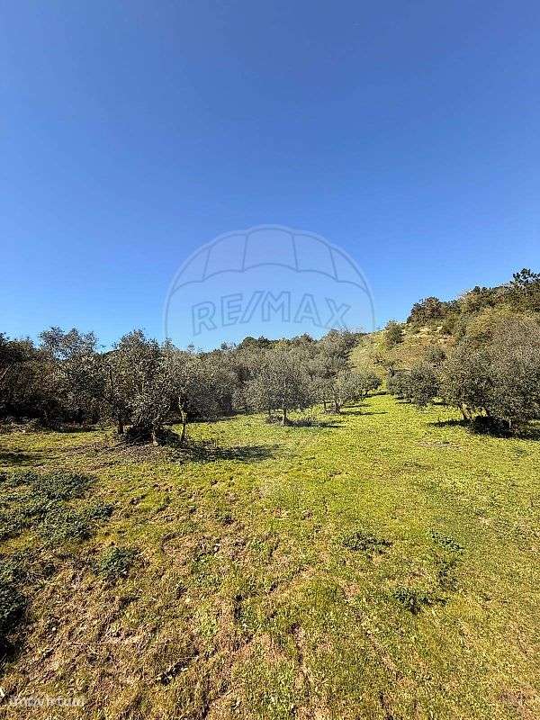 Terreno  para venda - Grande imagem: 2/8