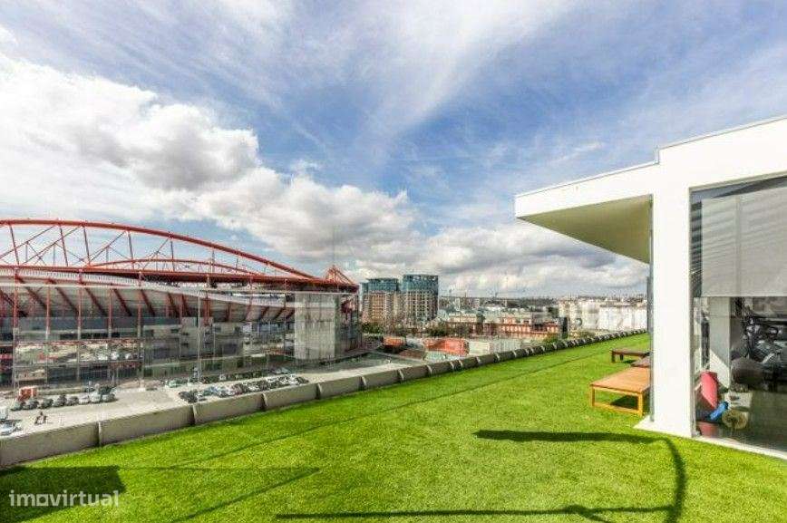 T3 LUXO BENFICA - Grande imagem: 2/30