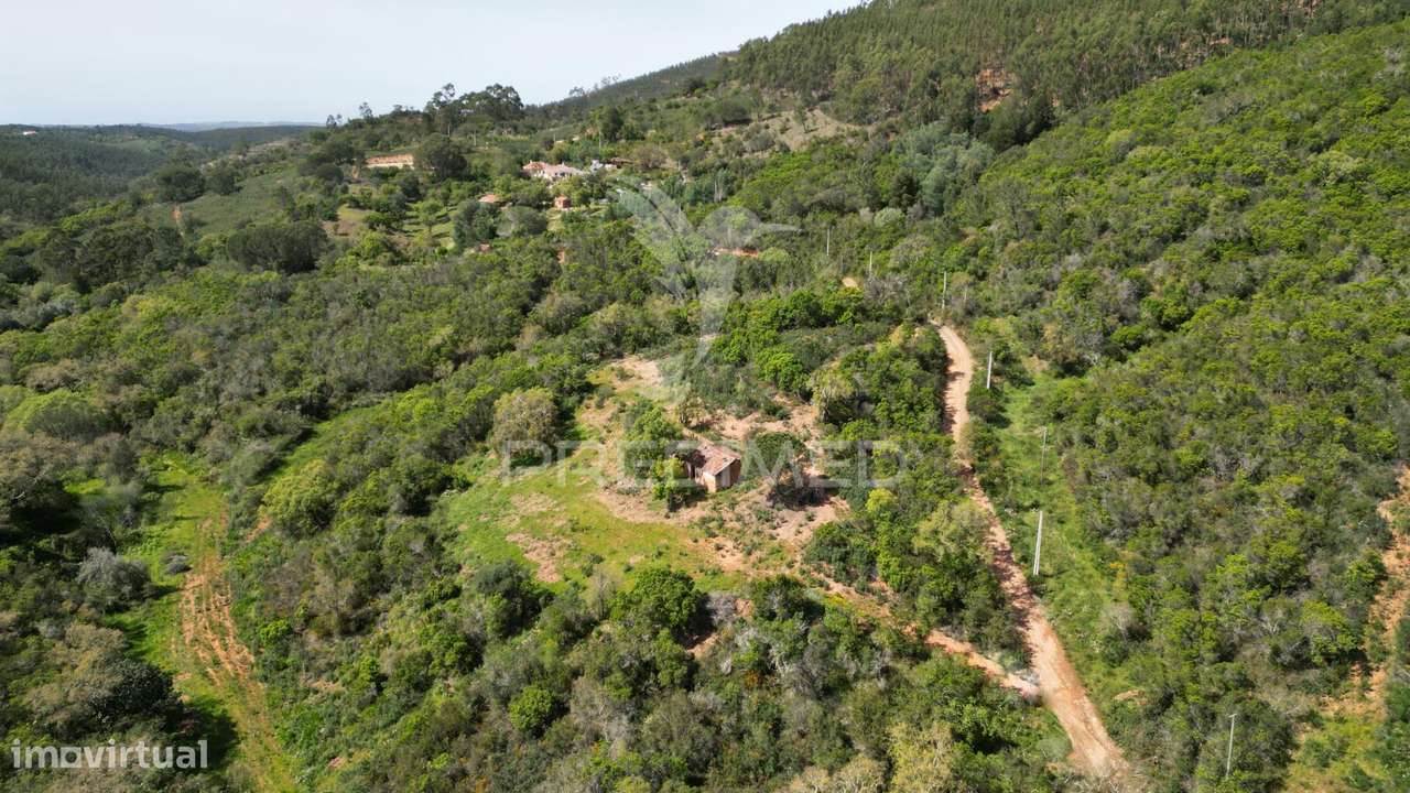 Propriedade com 20,8750 ha a 18 Km da Zambujeira do Mar - Grande imagem: 4/24