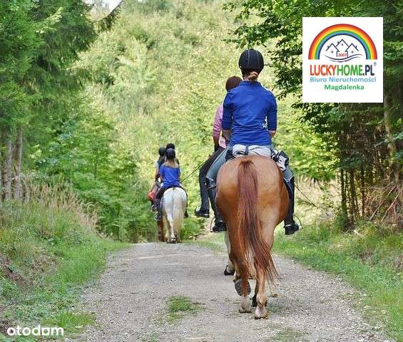 0% prow. Dom  pod lasem Magdalenki-4