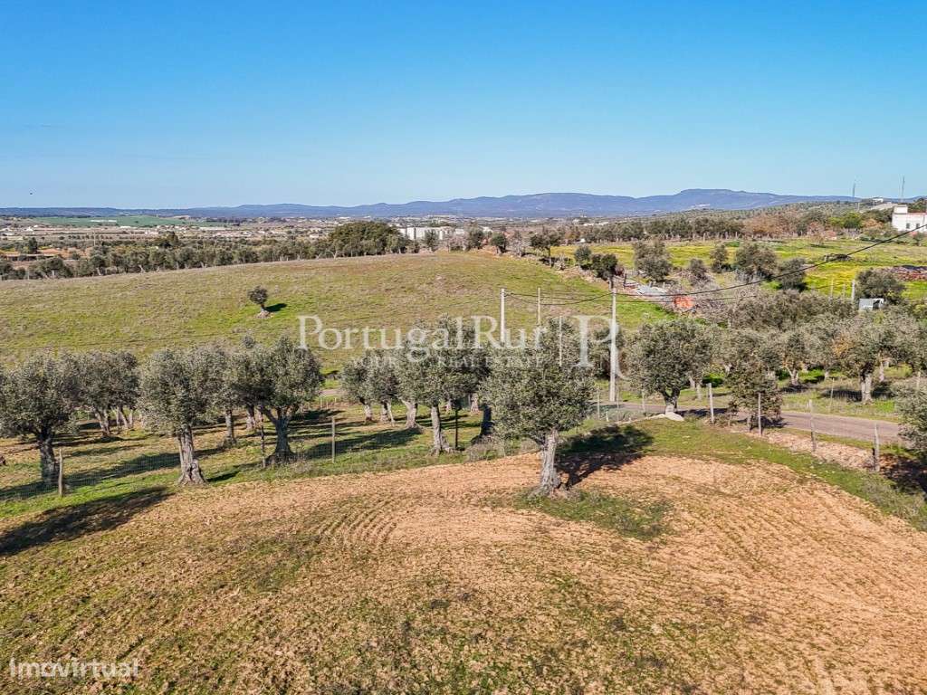 Monte alentejano para recuperar - Grande imagem: 4/10