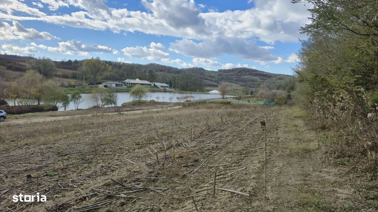 Teren intravilan în Mediaș, lângă Heleșteu-9