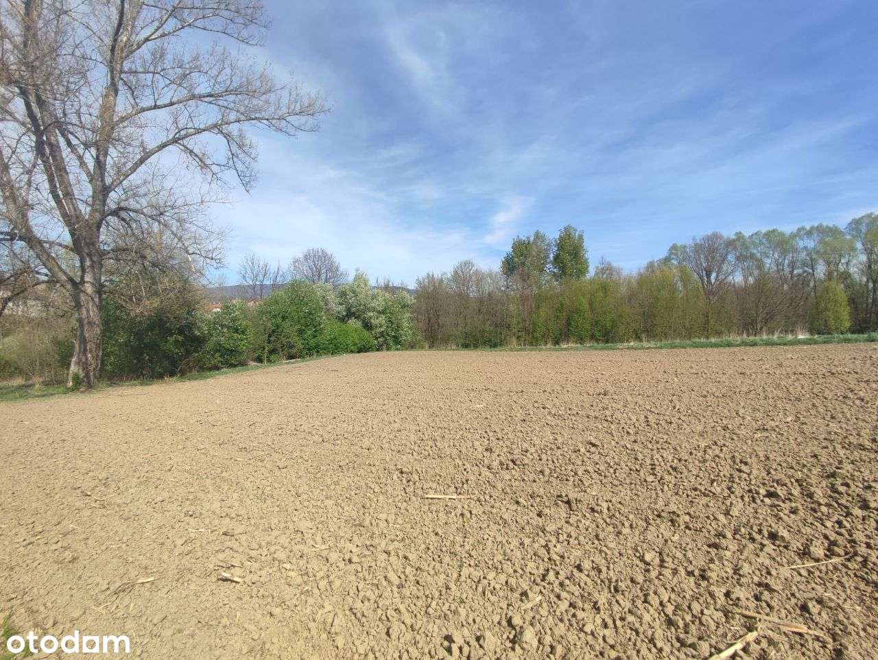 Działka w Pietrzykowiacach-5