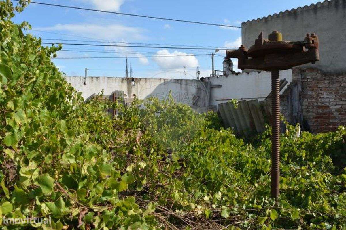 Terreno  para venda - Grande imagem: 4/17