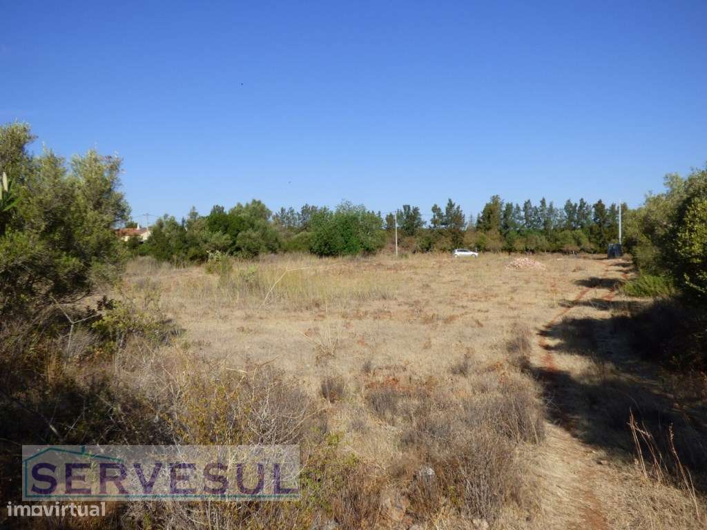 Terreno Rústico com 9.960 m² a apenas 10 minutos da cidade de Silves-12
